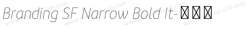 Branding SF Narrow Bold It字体转换